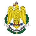 Armată - MApN 