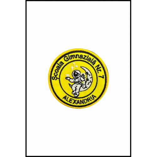 Emblemă Școala Nr. 7