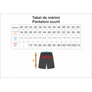 Pantaloni scurți băieți - Școala Nr. 7